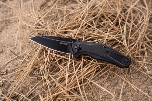 Undaunted Kershaw Natrix Knife